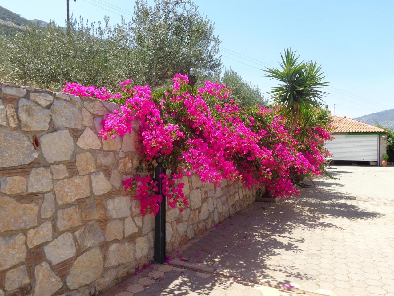 Villa Bamour With Paradise View Epidaurus Zewnętrze zdjęcie